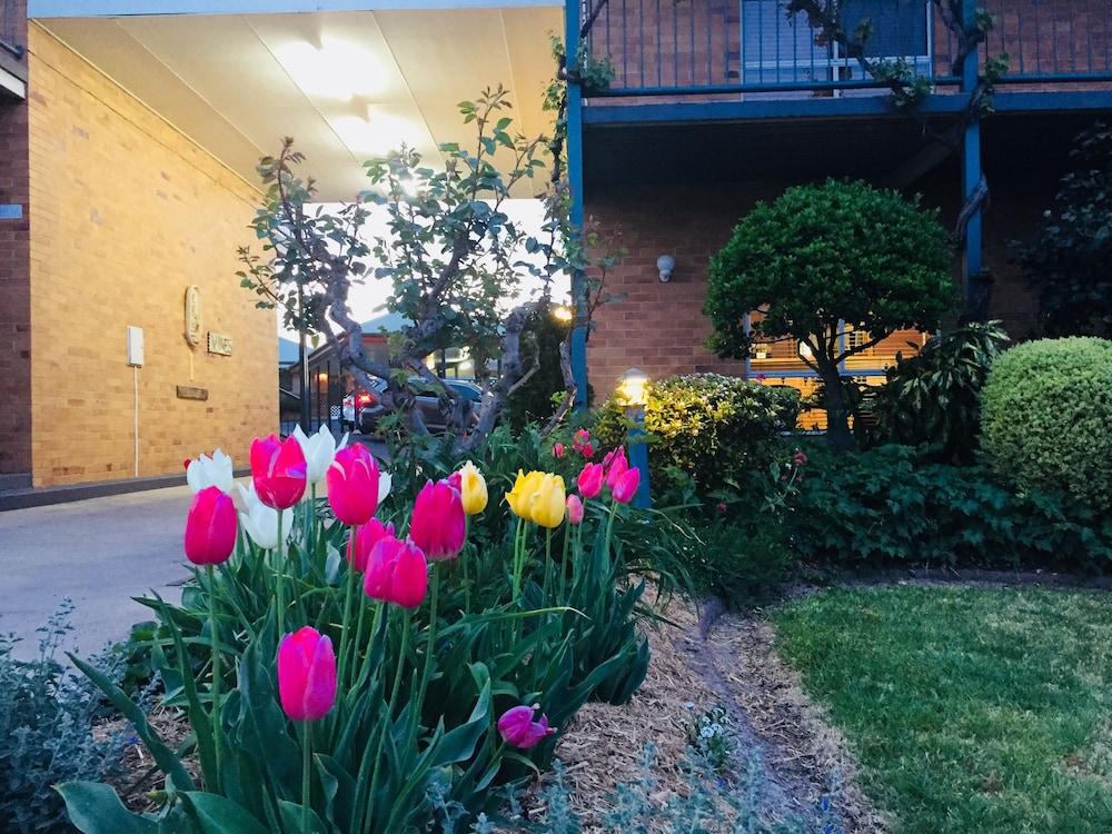 The Vines Motel & Cottages Stanthorpe Eksteriør bilde